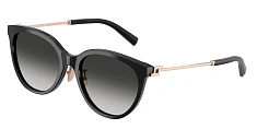 Солнцезащитные очки Tiffany 0TF4243D/8055/1 
