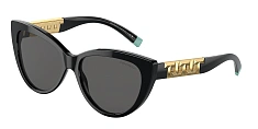 Солнцезащитные очки Tiffany 0TF4196/8001S4 