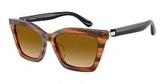 Солнцезащитные очки Emporio Armani 0EA4250U/62672C 
