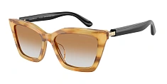 Солнцезащитные очки Emporio Armani 0EA4250U/62672C 