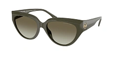 Солнцезащитные очки Michael Kors 0MK2241U/325611 