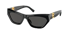 Солнцезащитные очки Ralph Lauren 0RL8218U/500187 