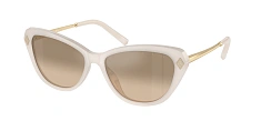 Солнцезащитные очки Ralph Lauren 0RL8224U/61826Y 