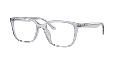 Оправа 0RX7248D/2000 Ray-Ban 