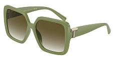 Солнцезащитные очки Tiffany 0TF4206U/80019S 