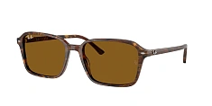 Солнцезащитные очки Ray-Ban 0RB2231/901/31 