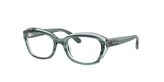Оправа Ray-Ban 0RY1636/3991