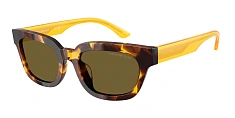 Солнцезащитные очки Emporio Armani 0EA4233U/618173