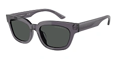 Солнцезащитные очки Emporio Armani 0EA4233U/618173