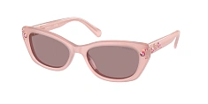 Солнцезащитные очки Swarovski 0SK6019/100273 