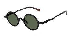 Солнцезащитные очки Emporio Armani 0EA2166/3001/2 
