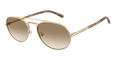 Солнцезащитные очки Emporio Armani 0EA2171/300311 