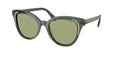 Солнцезащитные очки Swarovski 0SK6031/2002M4