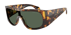 Солнцезащитные очки Giorgio Armani 0AR8222U/6191/2 