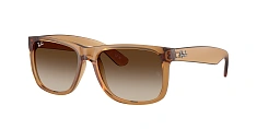 Солнцезащитные очки Ray-Ban 0RB4165/687380 