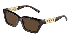 Солнцезащитные очки Tiffany 0TF4213/80153G 