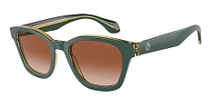 Солнцезащитные очки Giorgio Armani 0AR8207/608613 