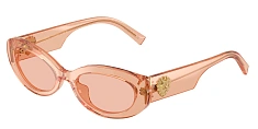Солнцезащитные очки Dolce & Gabbana 0DG4537/308887 