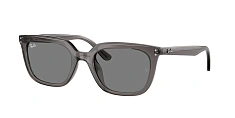 Солнцезащитные очки Ray-Ban 0RB4439D/710/87 