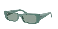 Солнцезащитные очки Ray-Ban 0RB4425/667787 