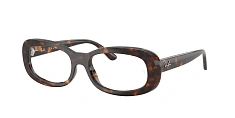 Оправа Ray-Ban 0RX2221V/2000