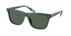 Солнцезащитные очки Polo Ralph Lauren 0PH4205U/614171 