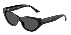 Солнцезащитные очки JIMMY CHOO 0JC5022B/500273