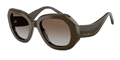 Солнцезащитные очки Giorgio Armani 0AR8248/634089 