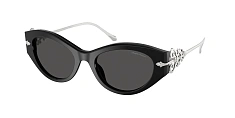 Солнцезащитные очки Ralph Lauren 0RL8227U/500374 