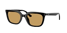 Солнцезащитные очки Ray-Ban 0RB4439D/710/87 