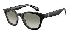 Солнцезащитные очки Giorgio Armani 0AR8207/608613 