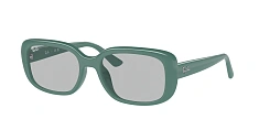 Солнцезащитные очки Ray-Ban 0RB4421D 