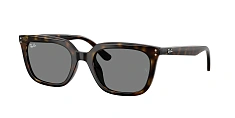 Солнцезащитные очки Ray-Ban 0RB4439D/710/87 