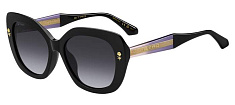 Солнцезащитные очки ETRO ETRO 0091/F/S 807 