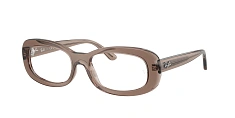 Оправа Ray-Ban 0RX2221V/2000
