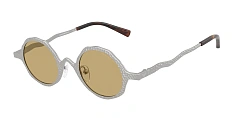 Солнцезащитные очки Emporio Armani 0EA2166/3001/2 