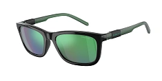 Солнцезащитные очки Arnette 0AN4315/27533R 