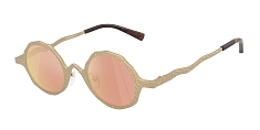 Солнцезащитные очки Emporio Armani 0EA2166/3001/2 