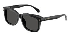 Солнцезащитные очки Moncler 0ME6018/3020T3 