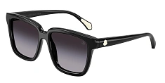 Солнцезащитные очки Moncler 0ME6026/3003M3 