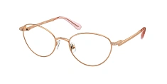 Оправа Swarovski  0SK1002/4013 