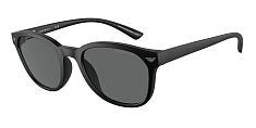 Солнцезащитные очки Emporio Armani 0EA4225U/500187 