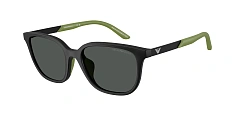 Солнцезащитные очки Emporio Armani 0EK4006U/627987