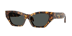 Солнцезащитные очки Versace 0VE4488U/GB1/87 
