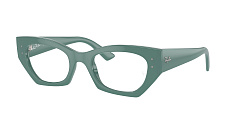 Оправа Ray-Ban 0RX7330/8346
