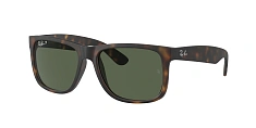 Солнцезащитные очки Ray-Ban 0RB4165/687380 