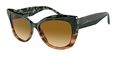 Солнцезащитные очки Giorgio Armani 0AR8161/59302L 