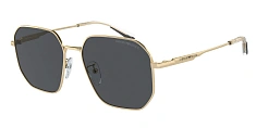 Солнцезащитные очки Emporio Armani 0EA2154D/301387 