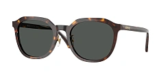 Солнцезащитные очки Versace 0VE4493D/GB1/87 