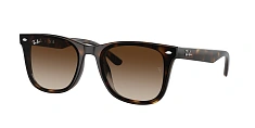 Солнцезащитные очки Ray-Ban 0RB4420/601/9A 